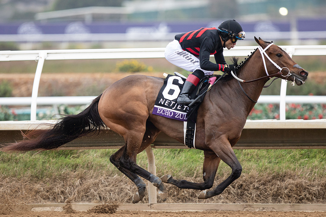 Echo Zulu wins the 2021 Breeders' Cup Juvenile Fillies at Del Mar