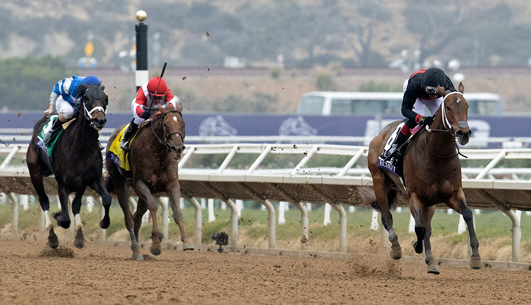 Echo Zulu wins the 2021 Breeders' Cup Juvenile Fillies at Del Mar