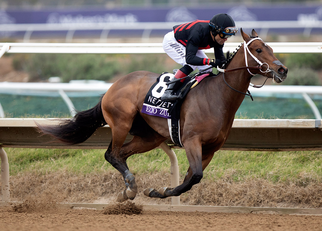 Echo Zulu wins the Breeders' Cup Juvenile Fillies at Del Mar