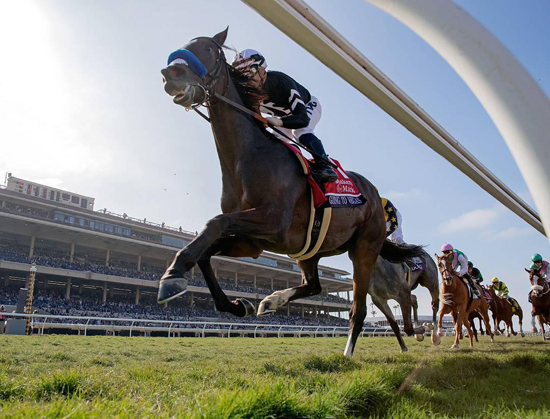 Going to Vegas passes the grandstand early in the Breeders' Cup Filly and Mare Turf