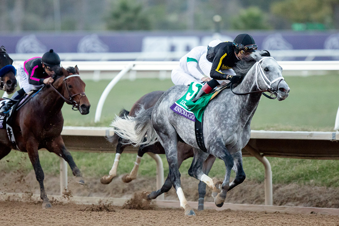 Knicks Go wins the Breeders' Cup Classic at Del Mar