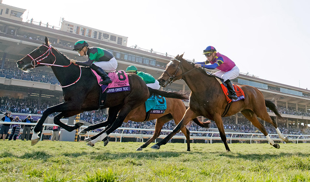 War Like Goddess (right) finishes third in the Breeders' Cup Filly and Mare Turf at Del Mar