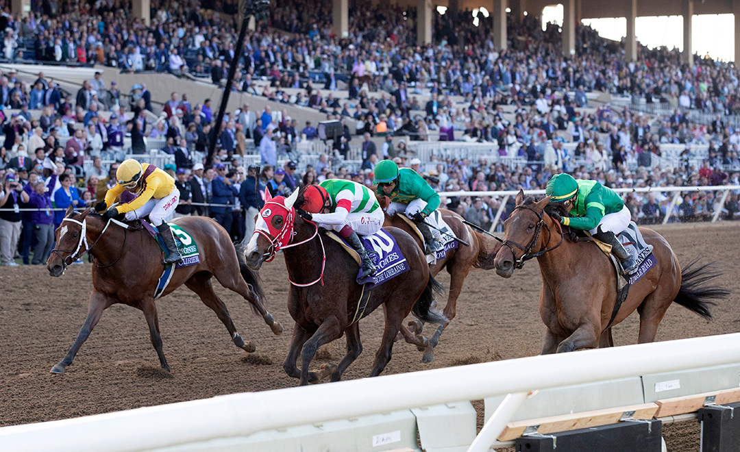 Marche Lorraine, Breeders' Cup business