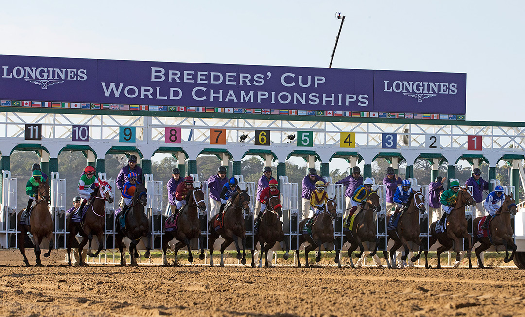 Starting gate for the Breeders' Cup Distaff at Del Mar