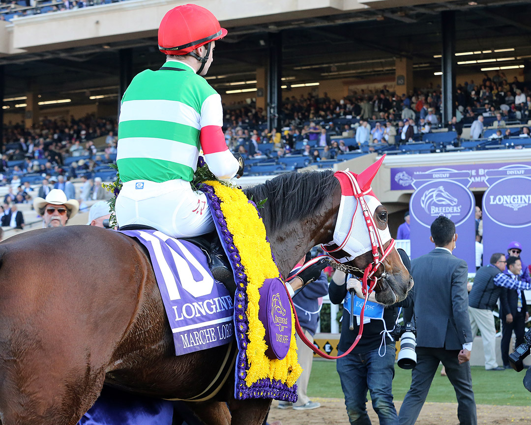 Marche Lorraine after winning the 2021 Breeders' Cup Distaff at Del Mar