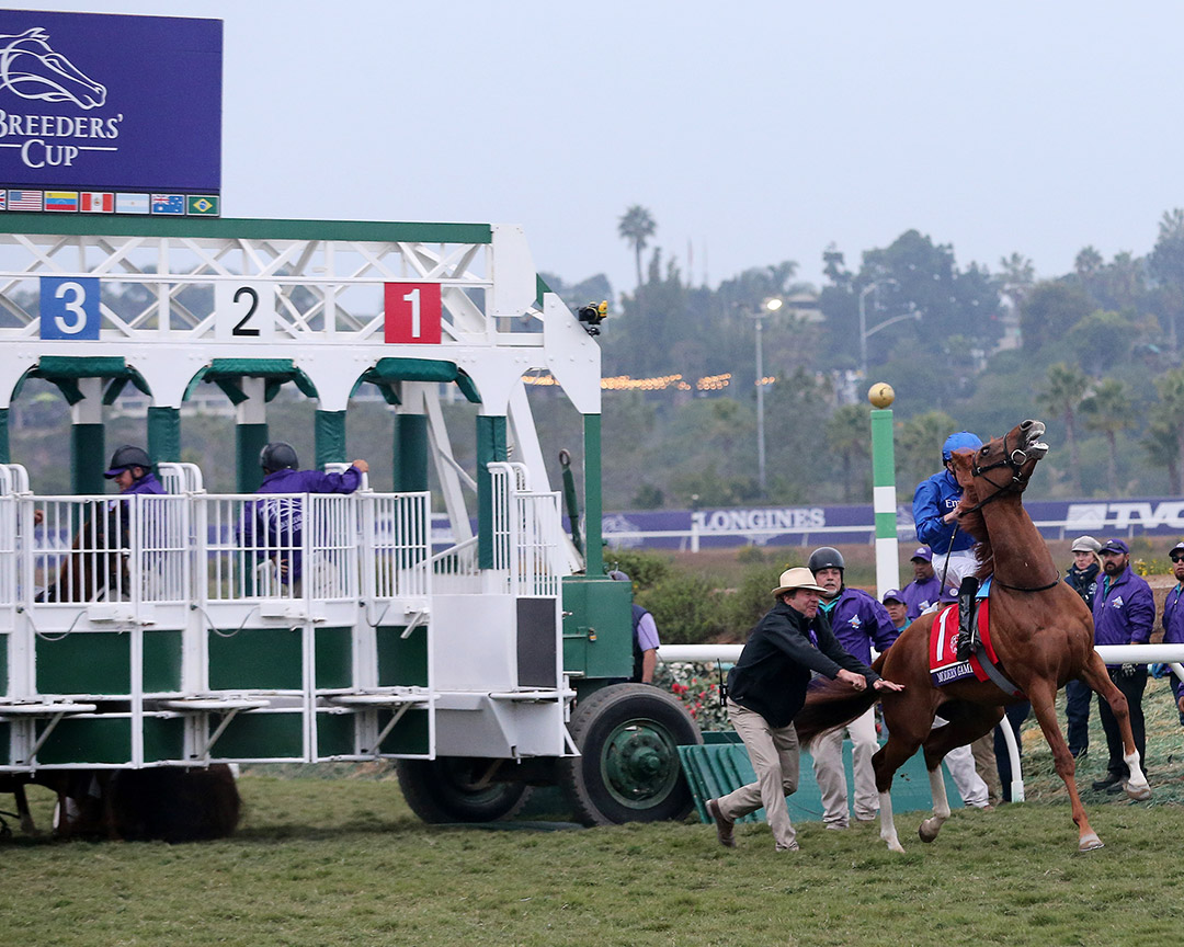 Modern Games breaks through the gate early before the Breeders' Cup Juvenile Turf
