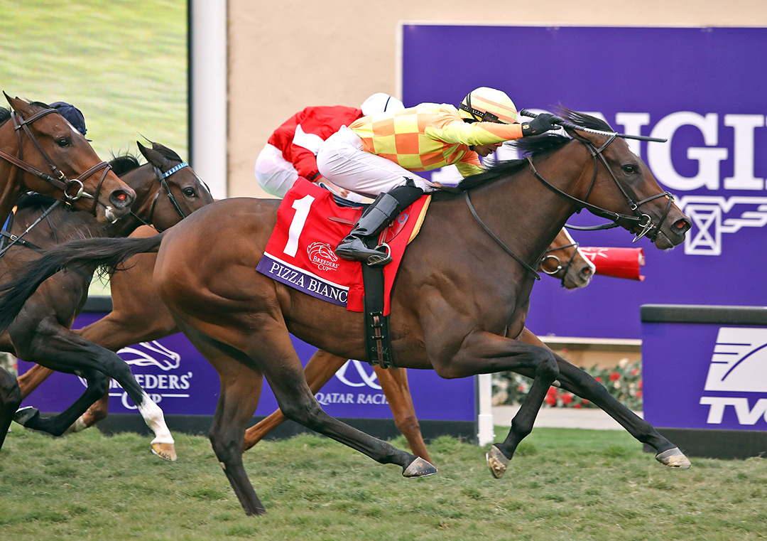 Pizza Bianca wins the 2021 Breeders' Cup Juvenile Fillies Turf at Del Mar