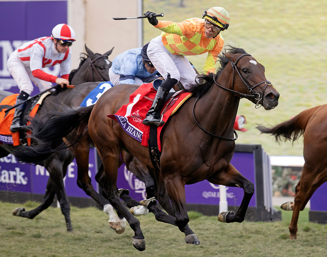 Pizza Bianca wins the 2021 Breeders’ Cup Juvenile Fillies Turf at Del Mar