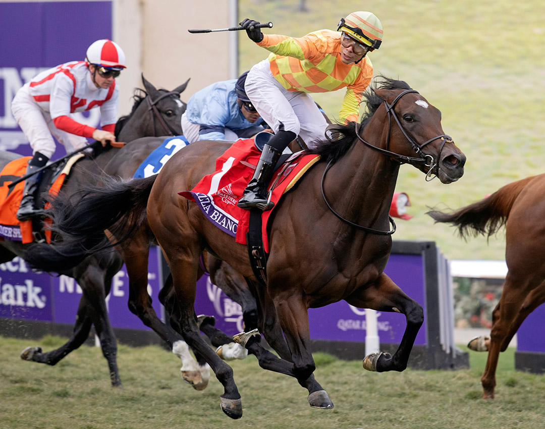Pizza Bianca wins the Breeders' Cup Juvenile Fillies Turf at Del Mar