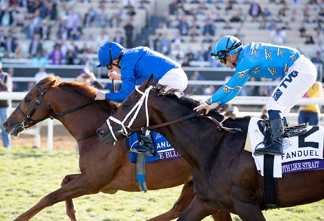 Phoenix Gold Cup, Fitzsimmons lead stellar Turf Paradise card