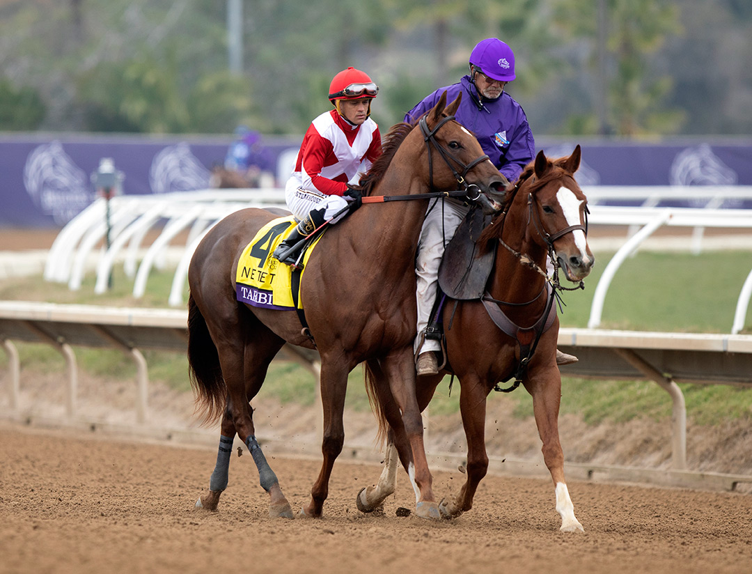 Tarabi at the Breeders' Cup Juvenile Fillies at Del Mar