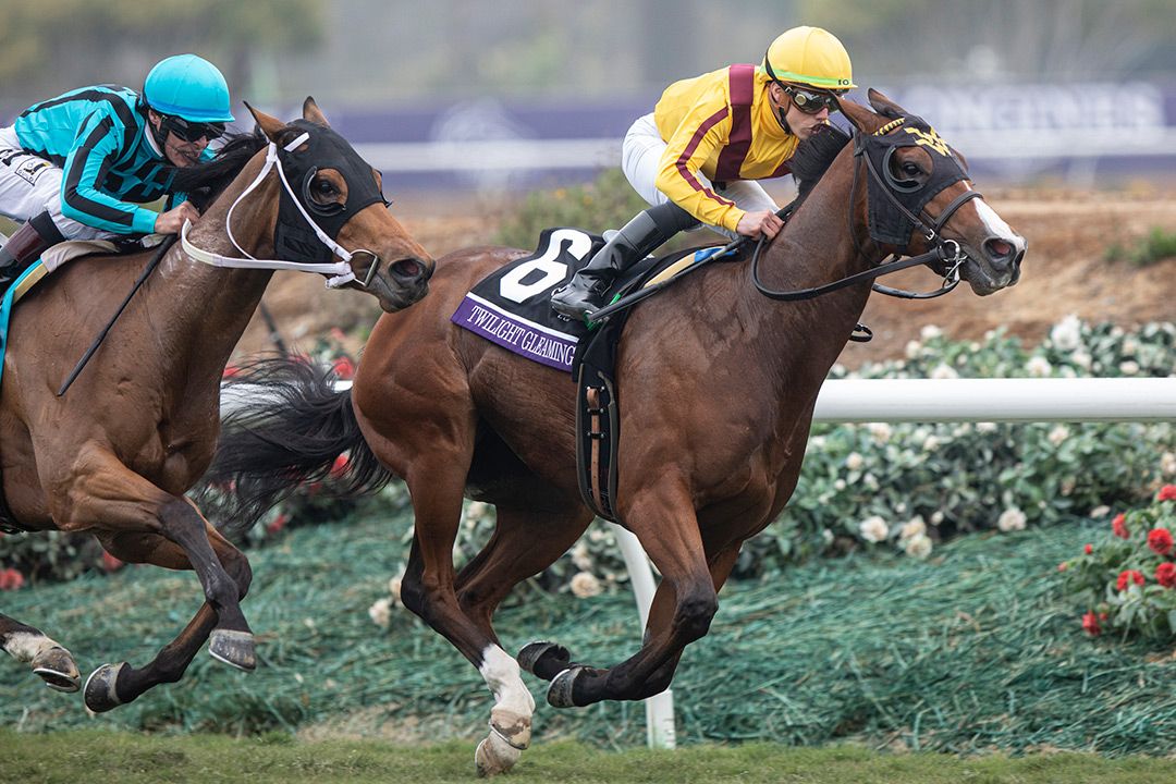 Twilight Gleaming wins the 2021 Breeders' Cup Juvenile Turf Sprint at Del Mar
