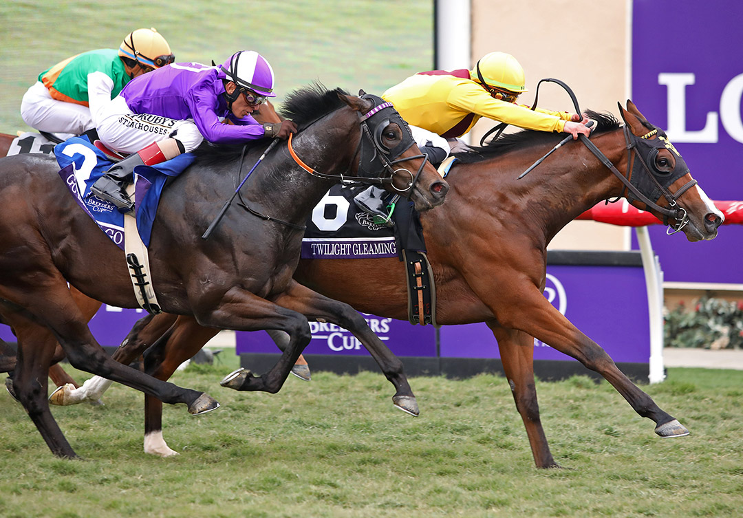 Twilight Gleaming wins the 2021 Breeders' Cup Juvenile Turf Sprint at Del Mar