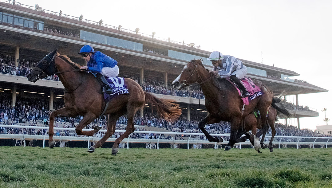 Yibir (left) wins the 2021 Breeders' Cup Turf at Del Mar