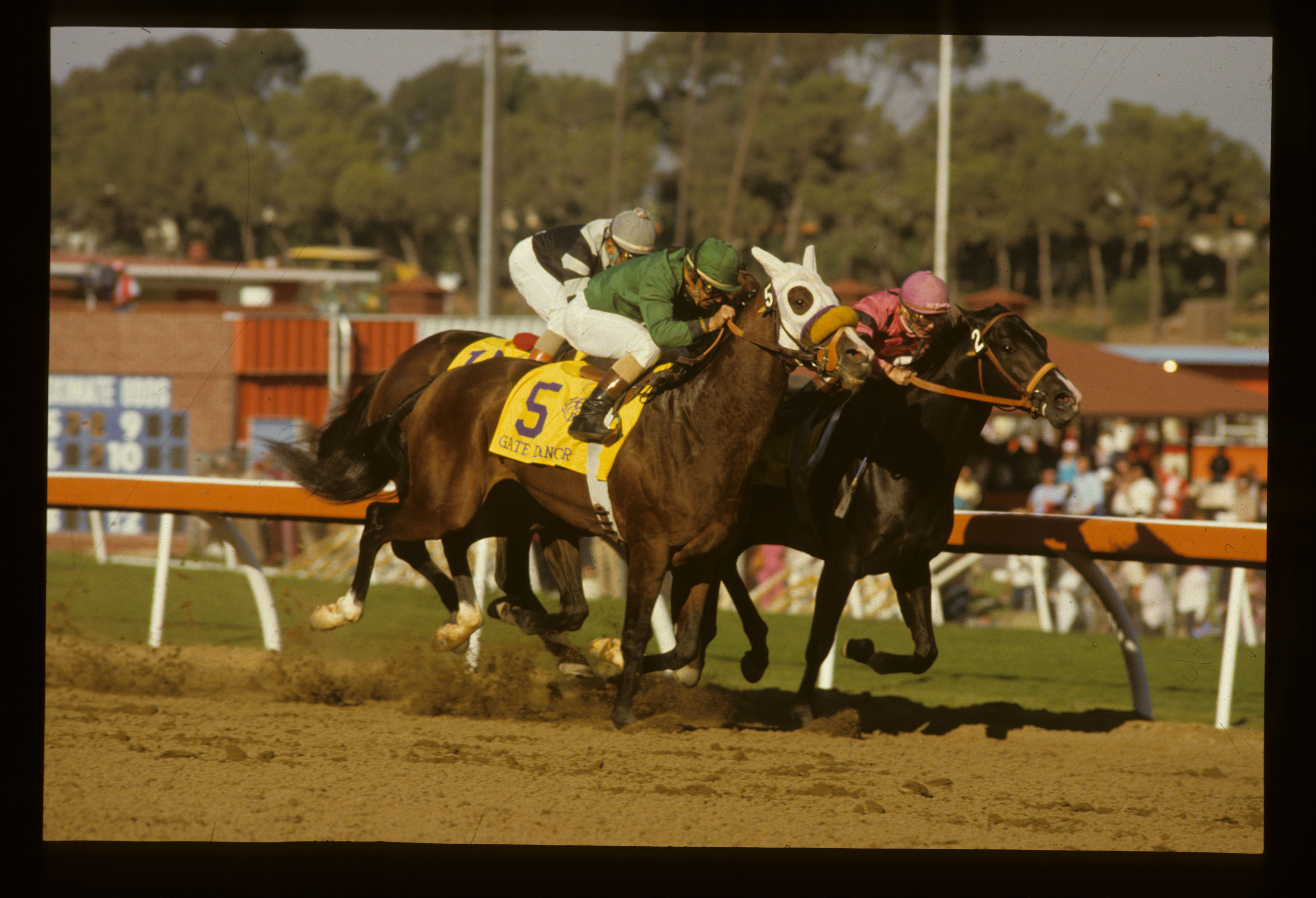 Wild Again and Gate Dancer in the 1984 Breeders Cup Classic