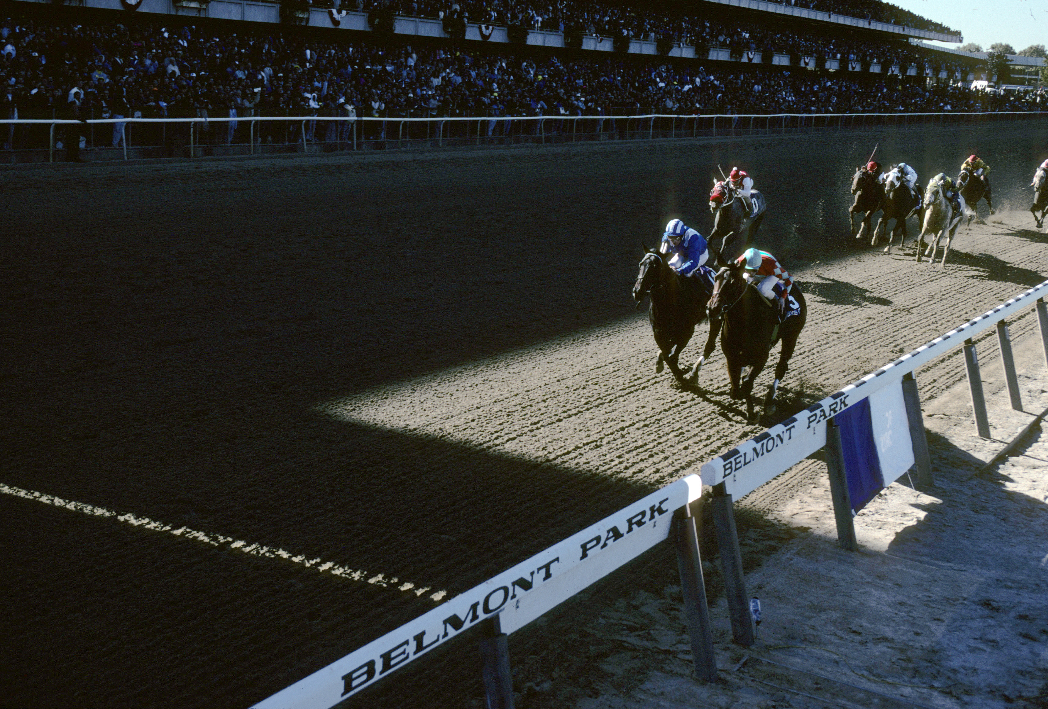 1990 Breeders' Cup Sprint finish, Dayjur