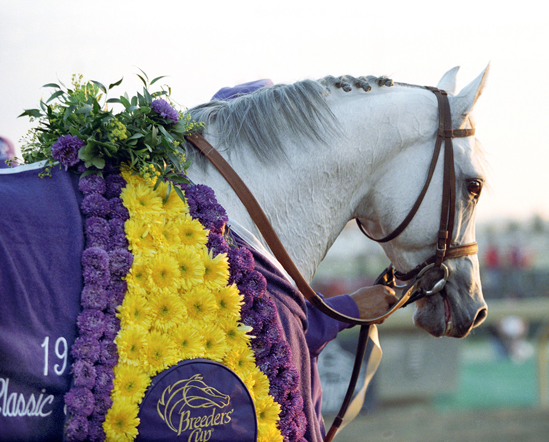 Alphabet Soup after winning the 1996 Breeders' Cup Classic at Woodbine