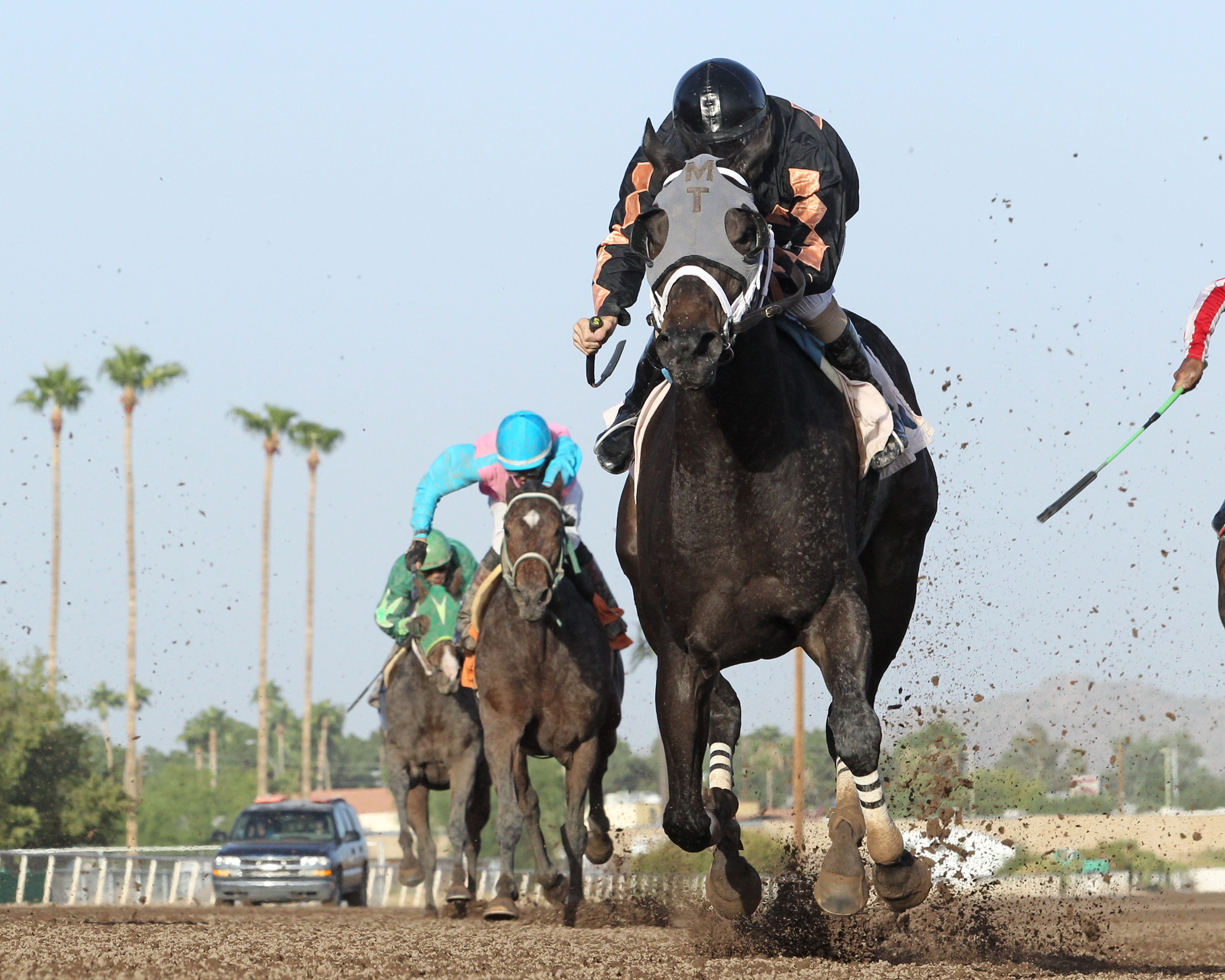 BCZ Middleton wins the 2017 Princess of Palms Stakes