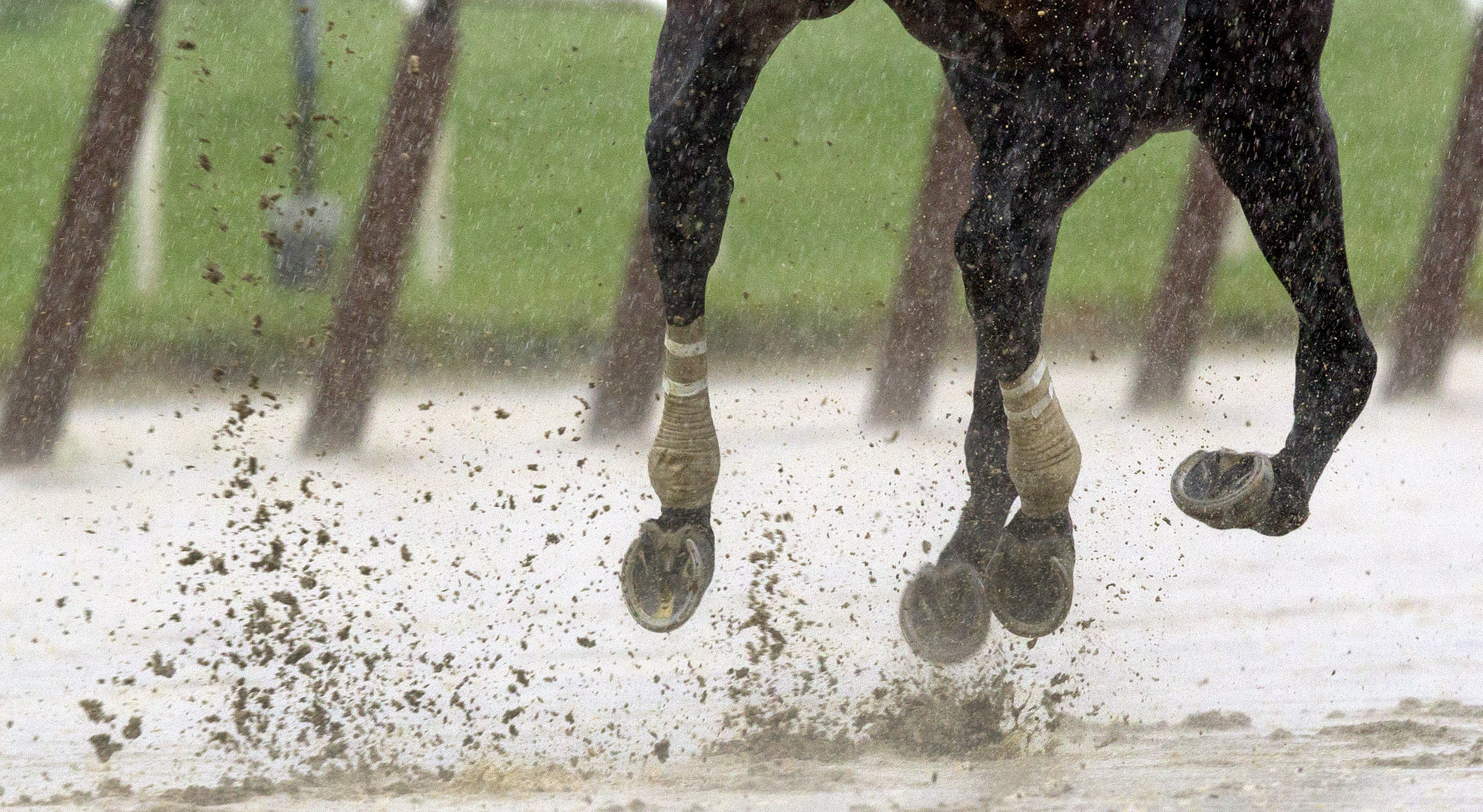 Belmont mud, Friday, June 7, 2013