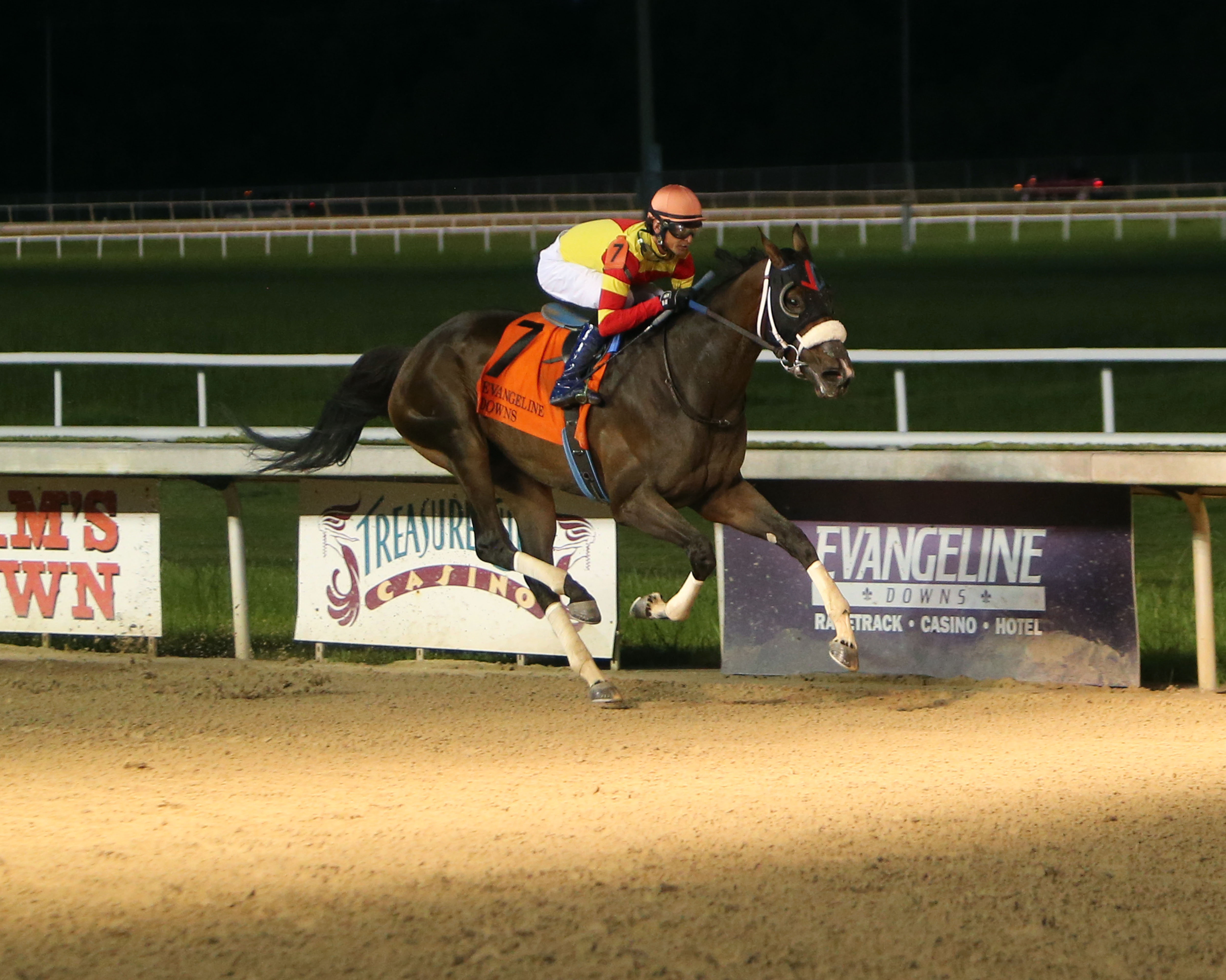 Becca's Rocket, Spotted Horse