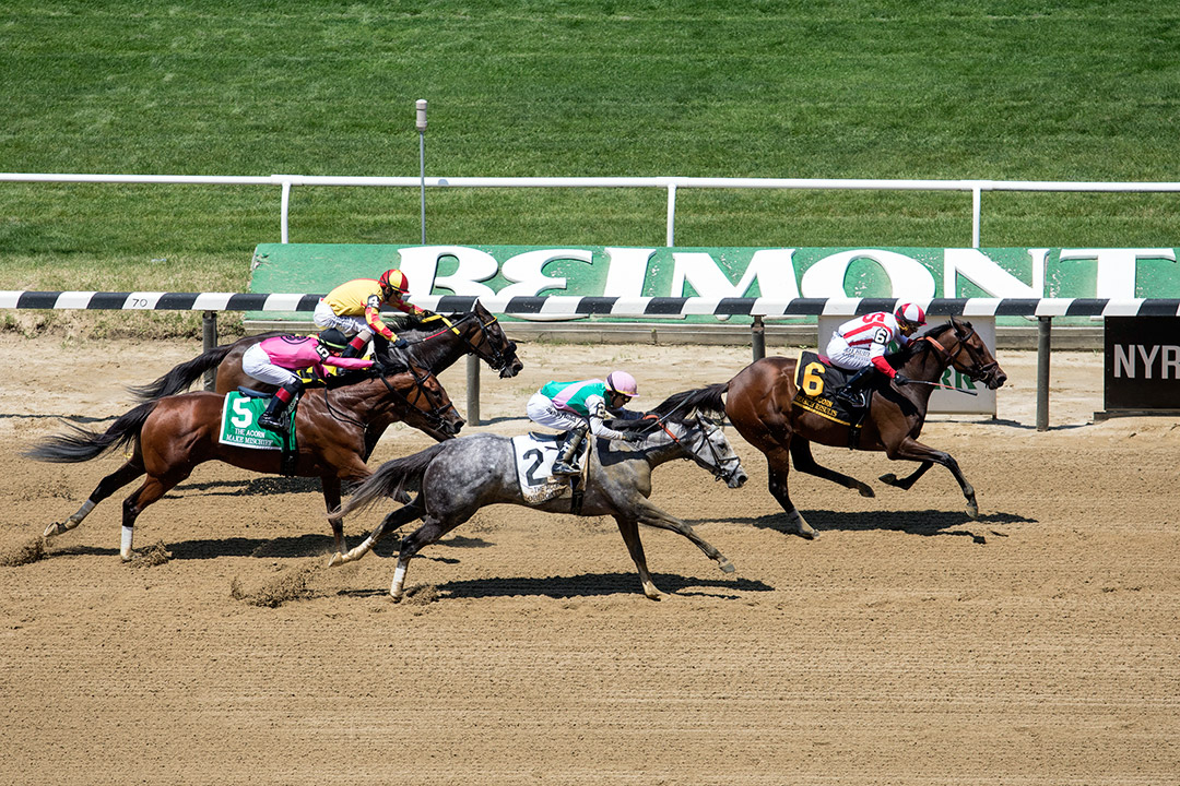 Belmont Park dirt racing