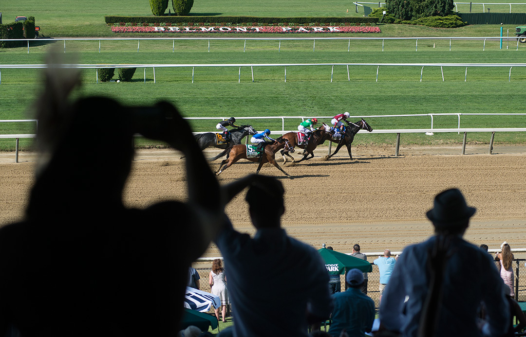 Fans at Belmont Park on Belmont Stakes Day