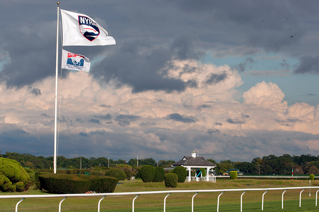 Belmont Park infield