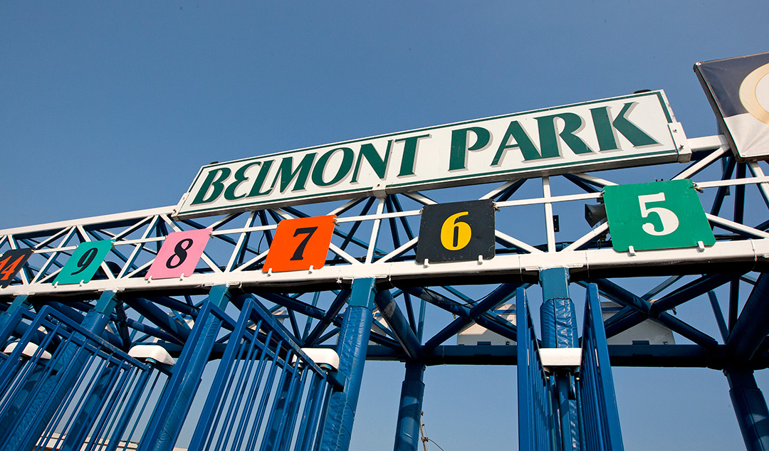 Belmont Park starting gate