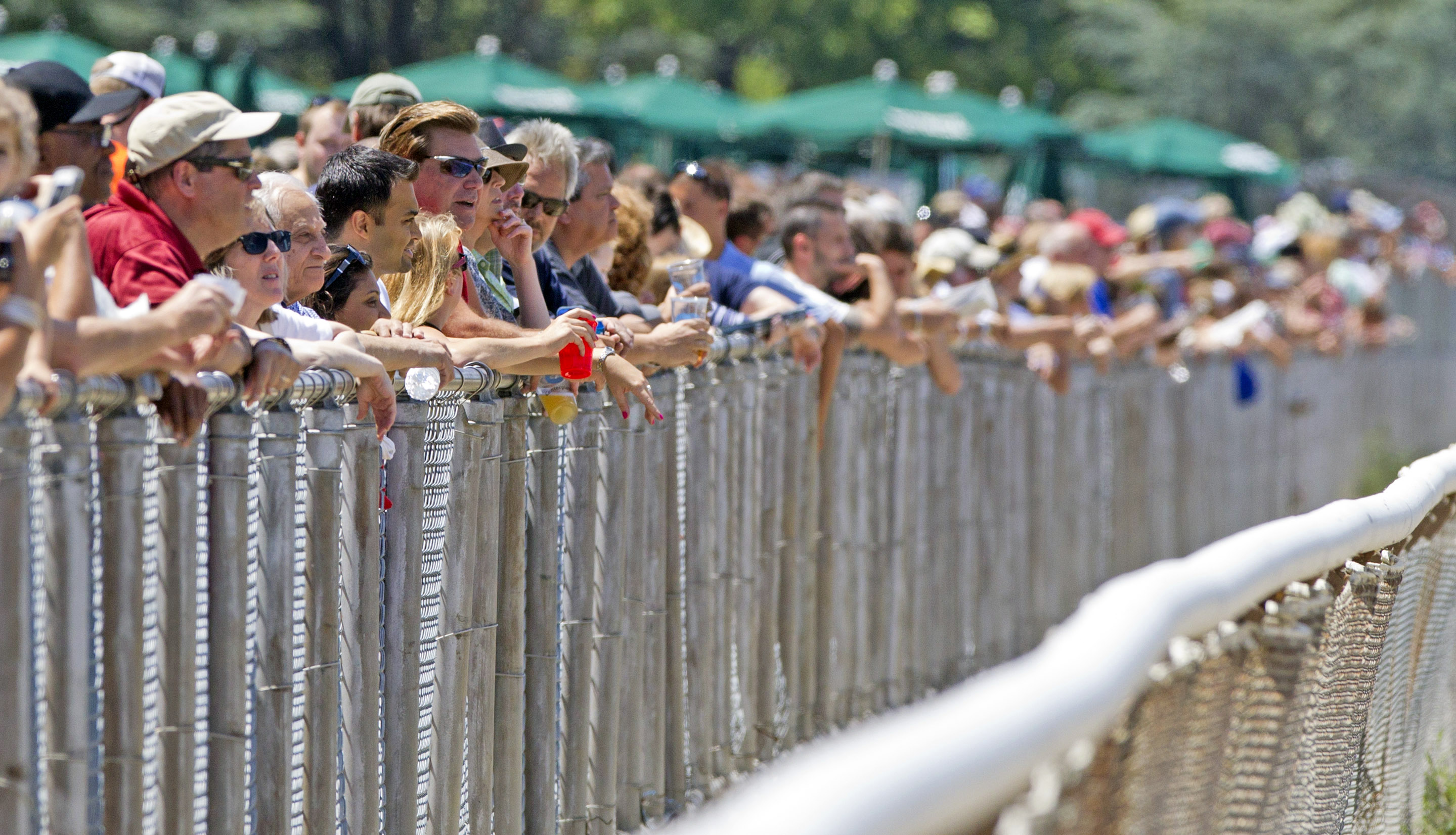 Belmont Park crowd