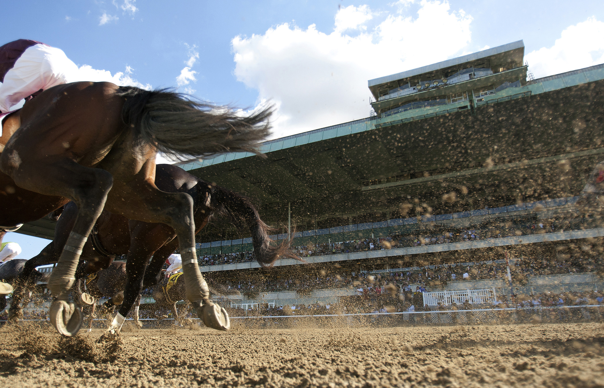 Belmont Park generic dirt race
