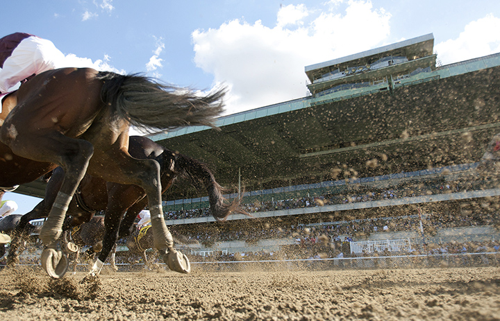 Belmont Park racing