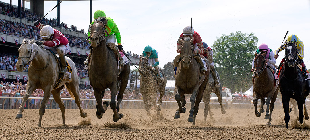Belmont Park dirt racing