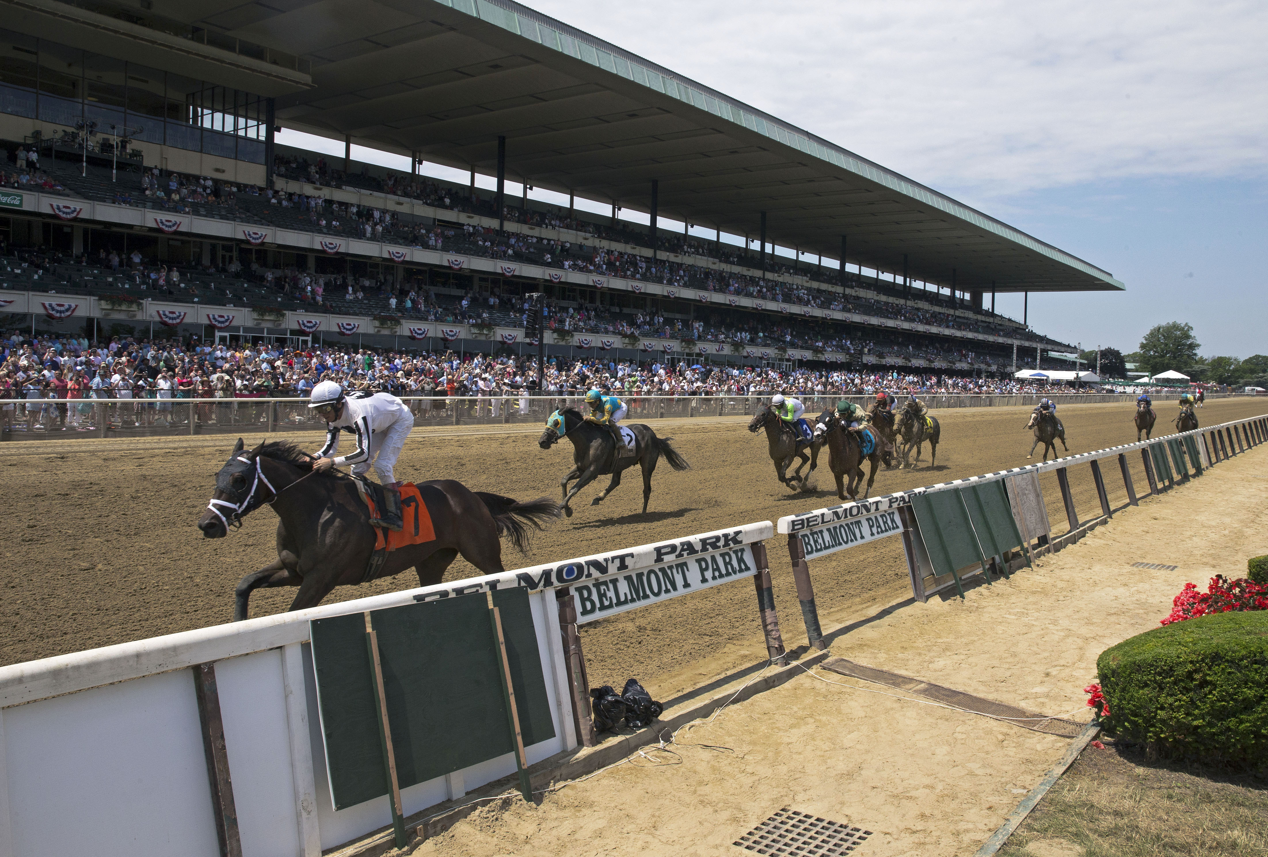Dirt racing at Belmont Park