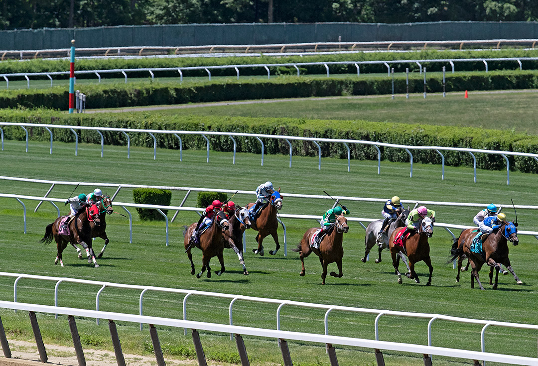 Belmont Park turf racing