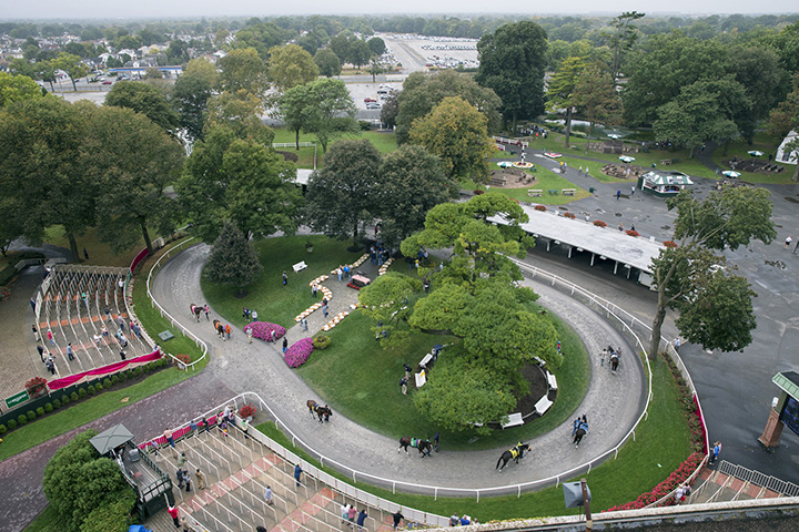 Belmont paddock
