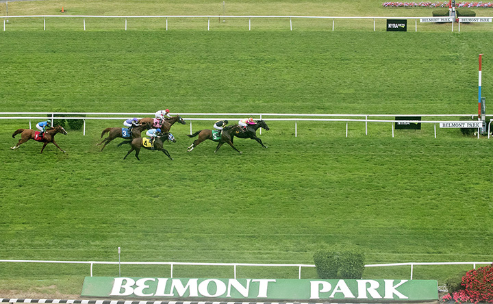 Belmont turf racing