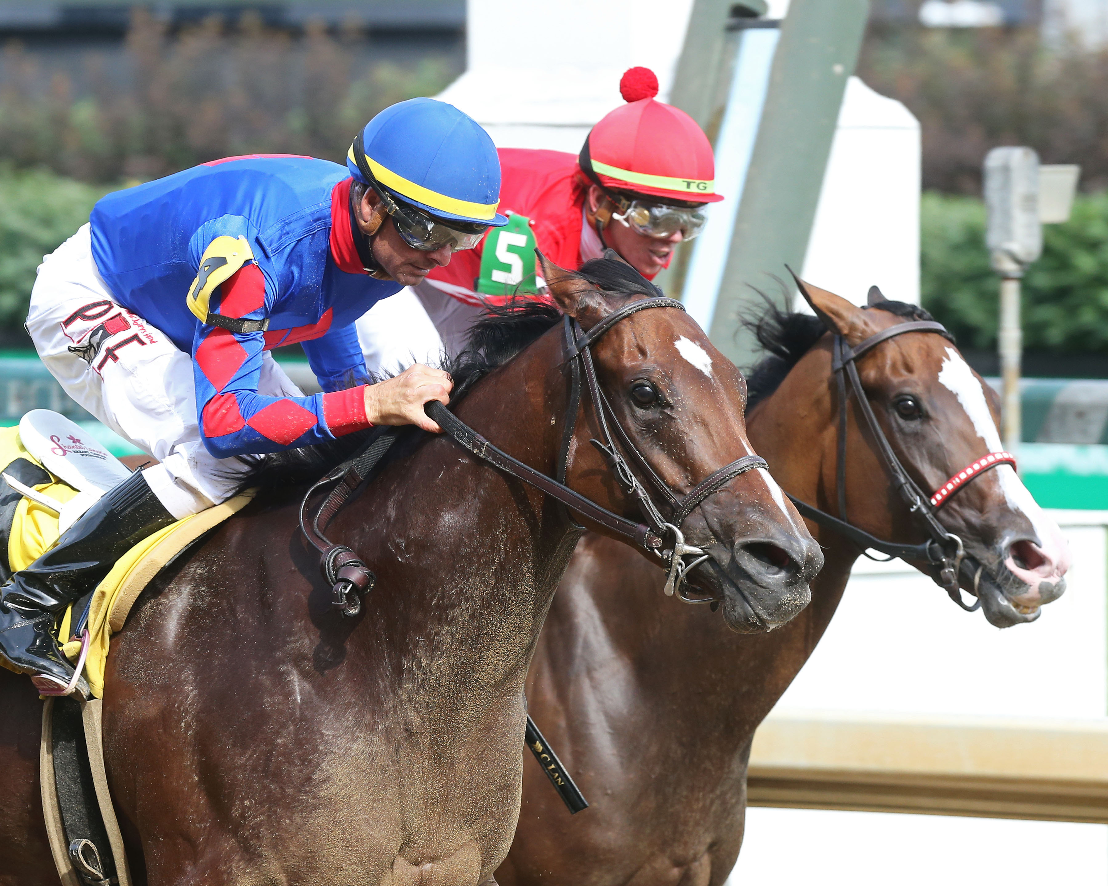 Bell's the One (left) wins the Roxelana 6-19-2021