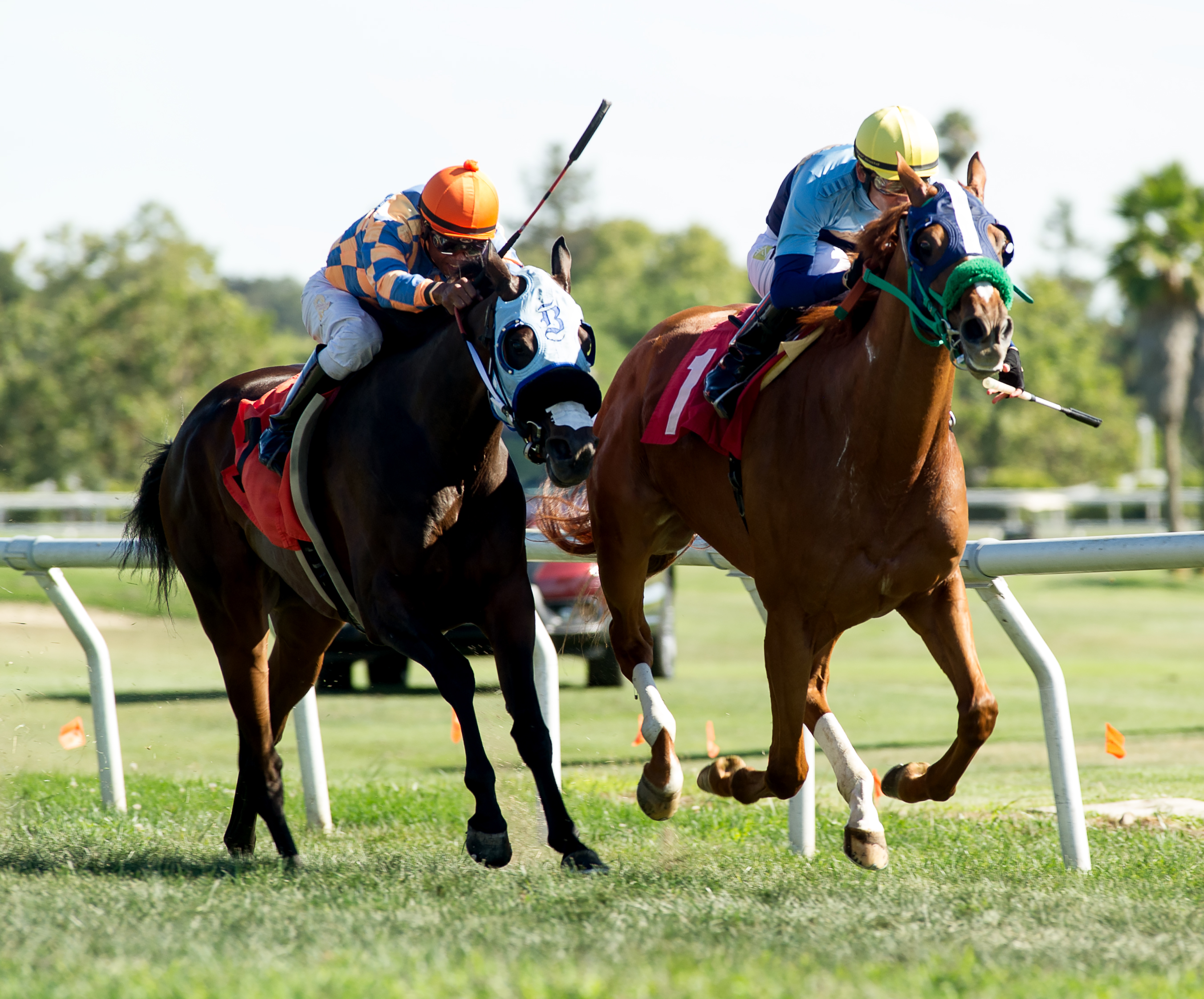 Bella Luma (inside) wins the 2019 Luther Burbank Handicap