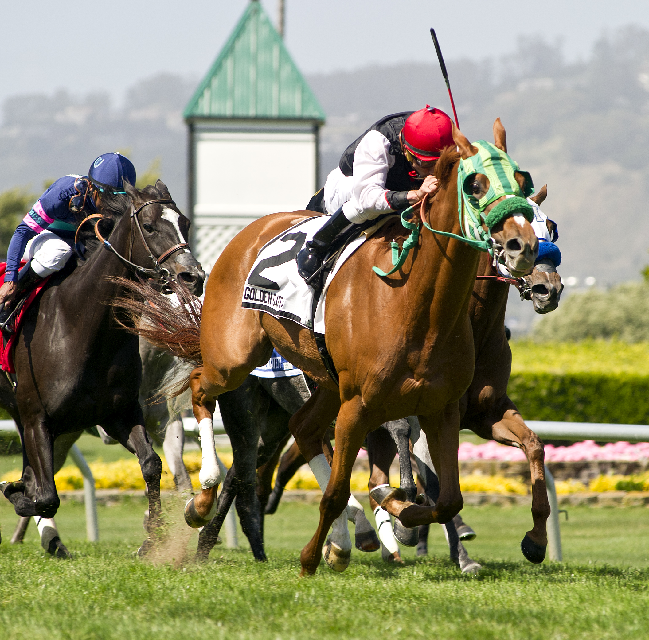 Bella Luma wins 2018 Golden Poppy