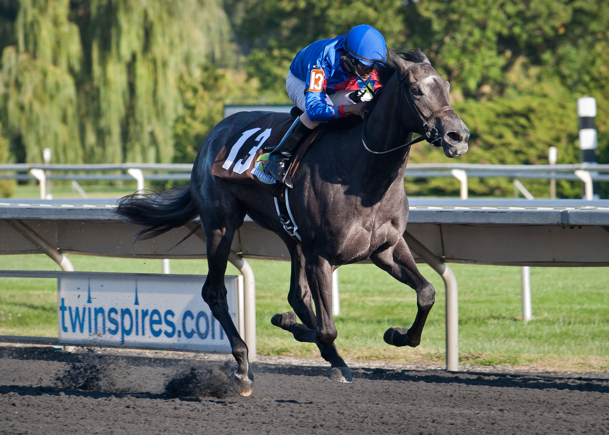 Bet She Wins wins the 2017 Arlington-Washington Lassie