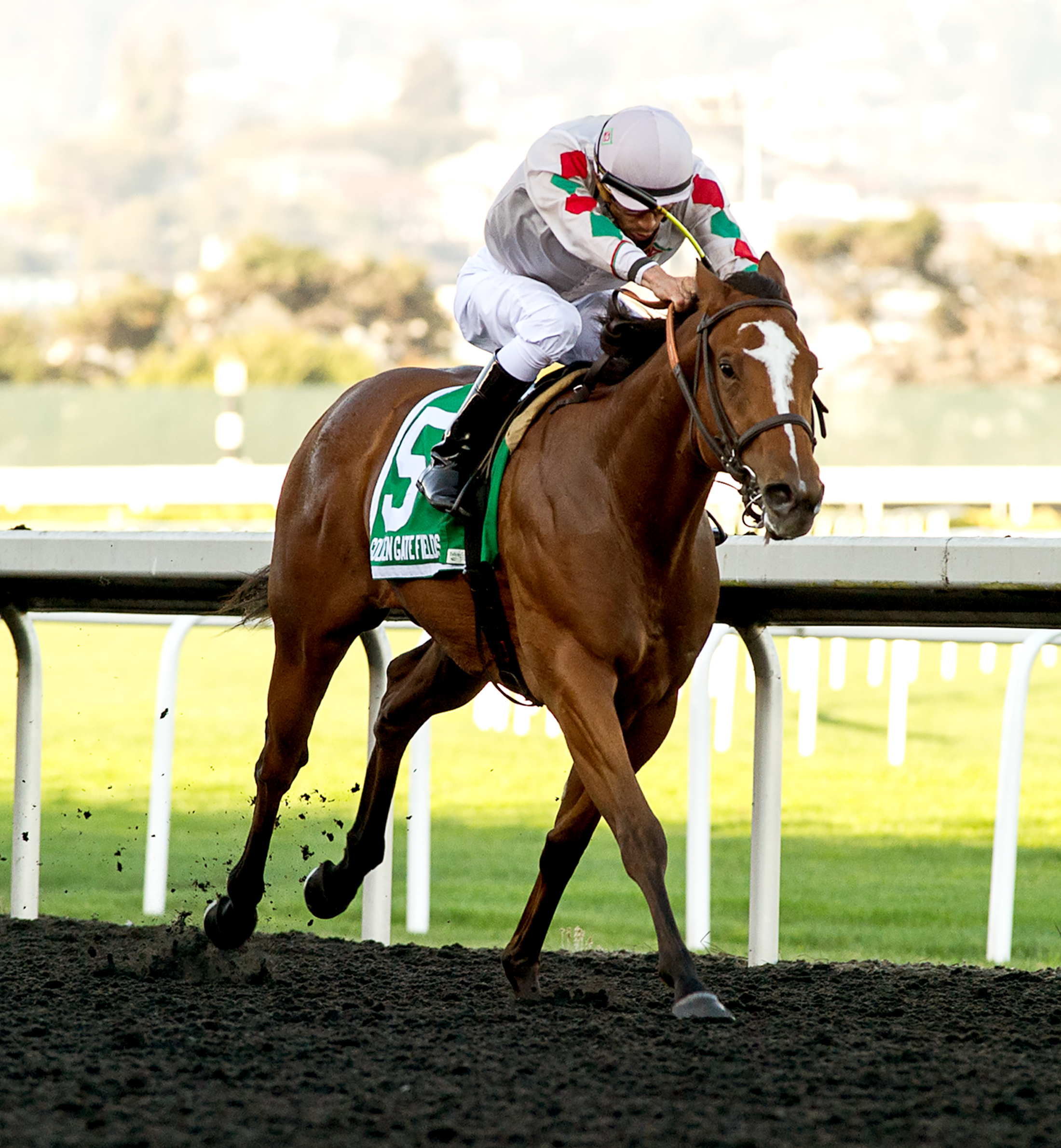 Bettor Trip Nick wins the 2019 Golden Nugget Stakes