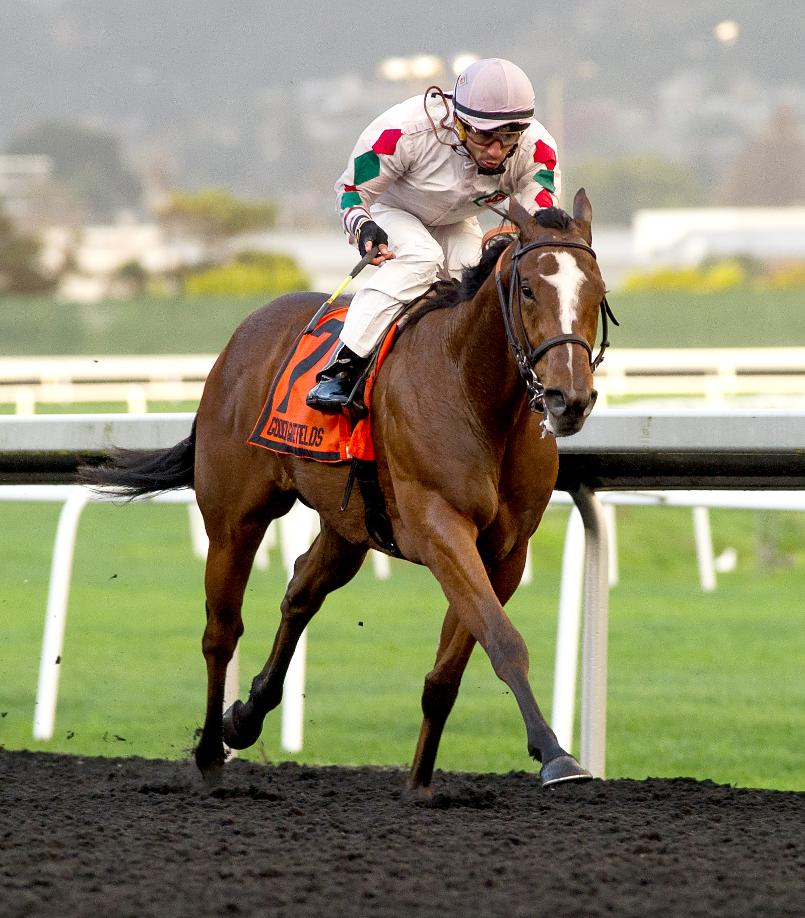 Bettor Trip Nick wins the 2019 Gold Rush Stakes