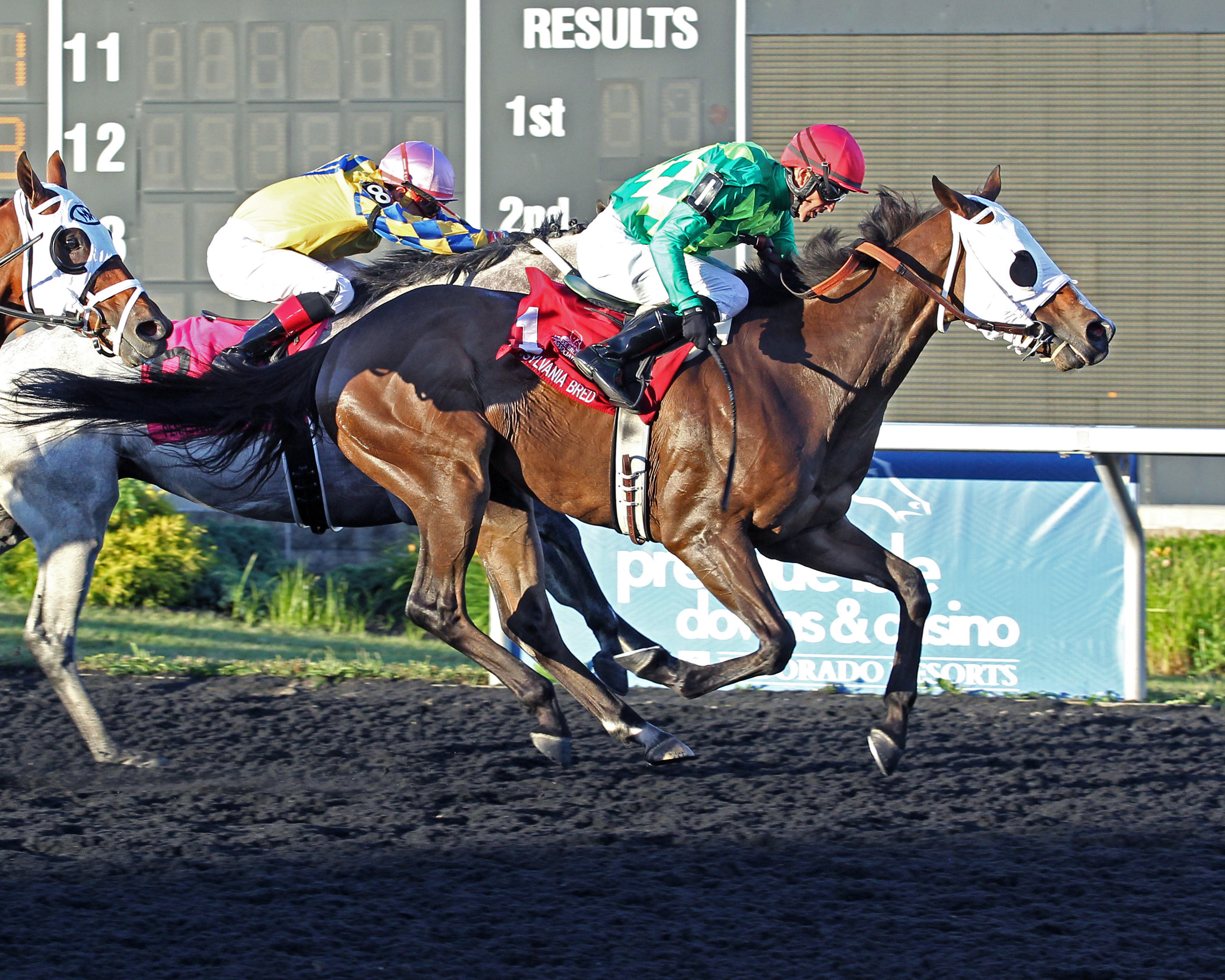 Beyond Smart springs upset in Leematt Stakes
