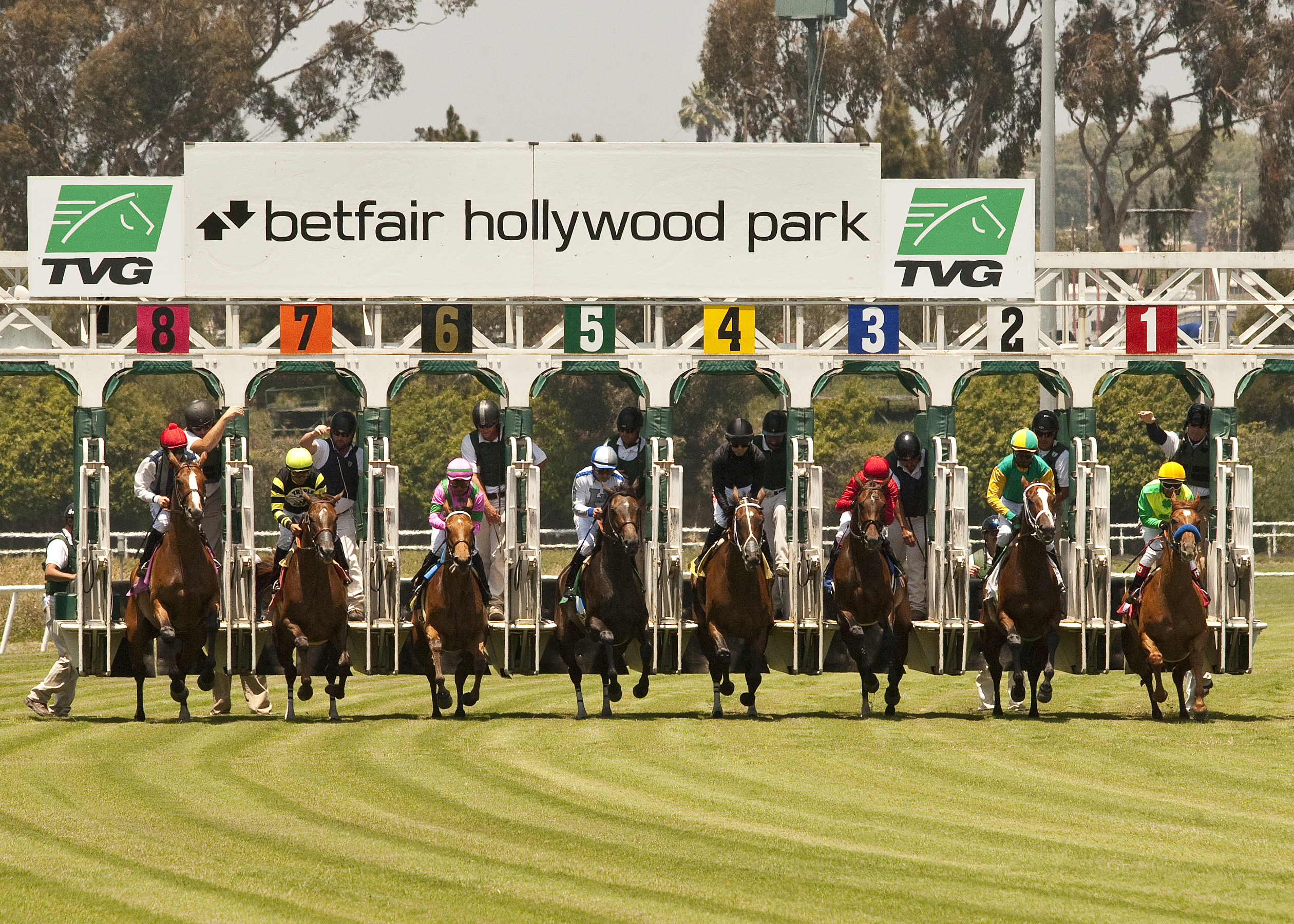 Betfair Hollywood starting gate