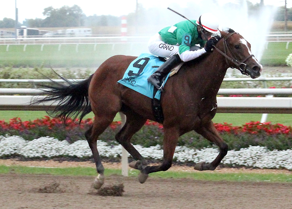 Bibbidibobbidi Boo wins the 2017 City of Anderson Stakes