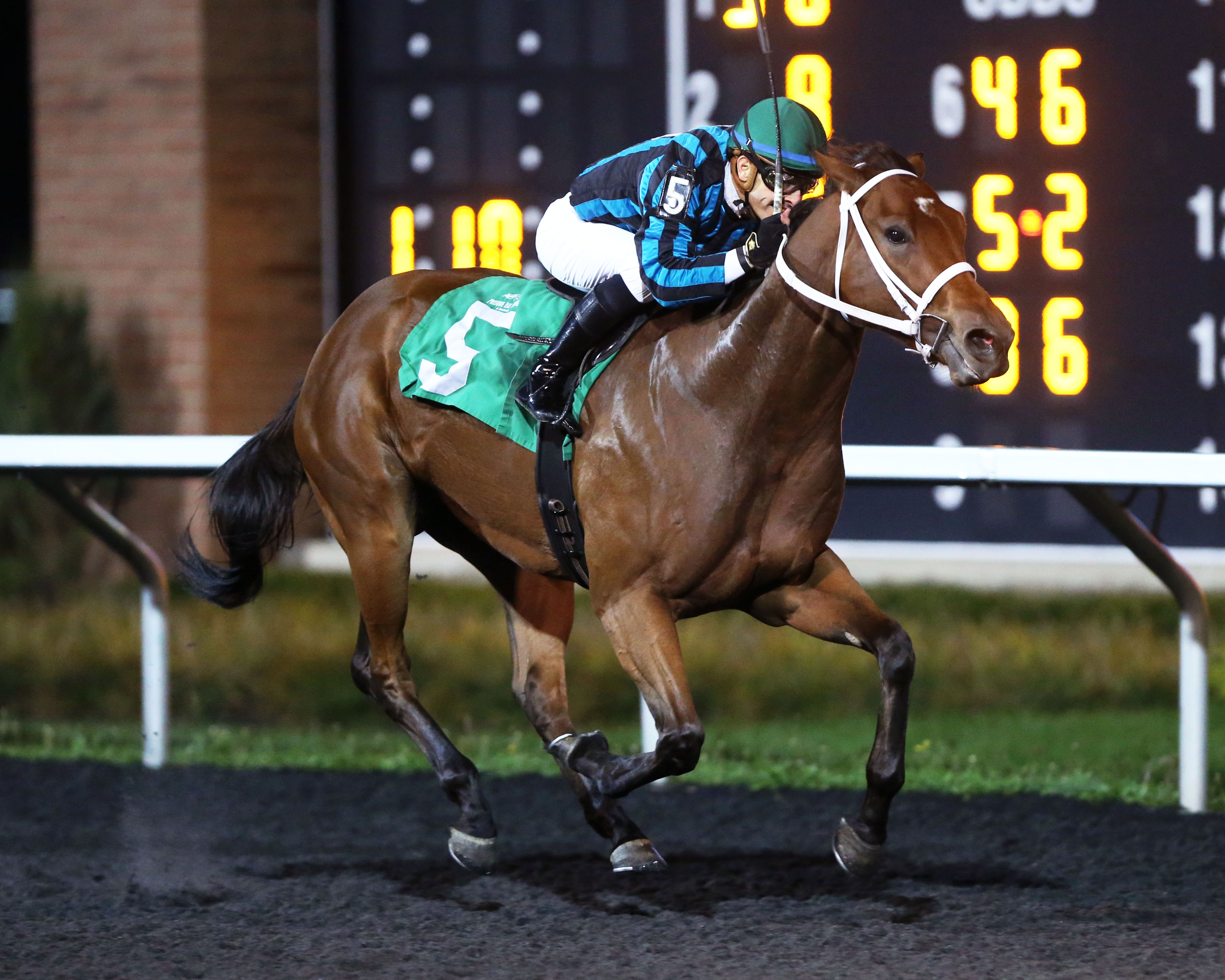 Big Drink of Water wins the 2018 Fitz Dixon Jr. Memorial