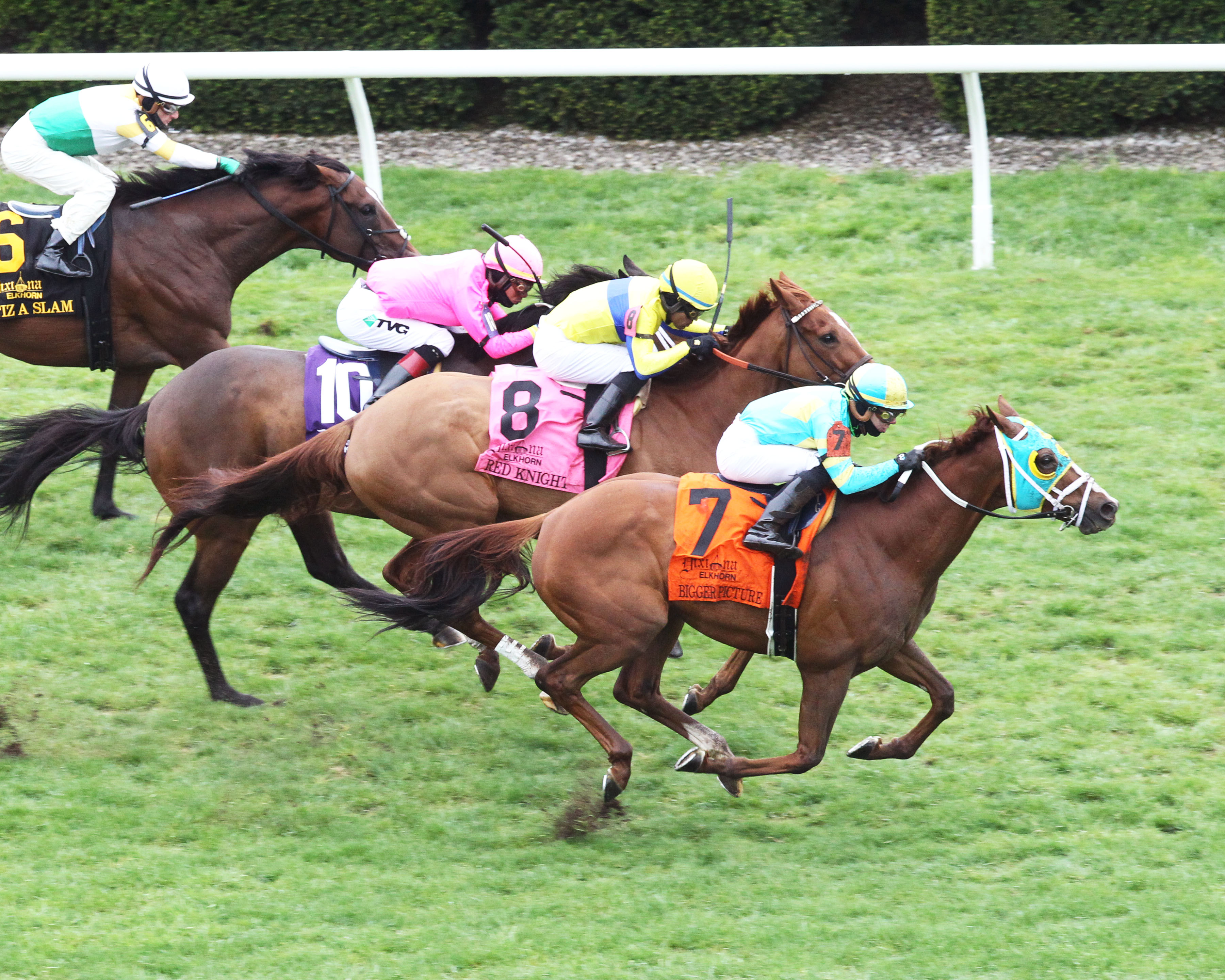 Bigger Picture (turquoise blinkers) wins the 2019 Elkhorn Stakes