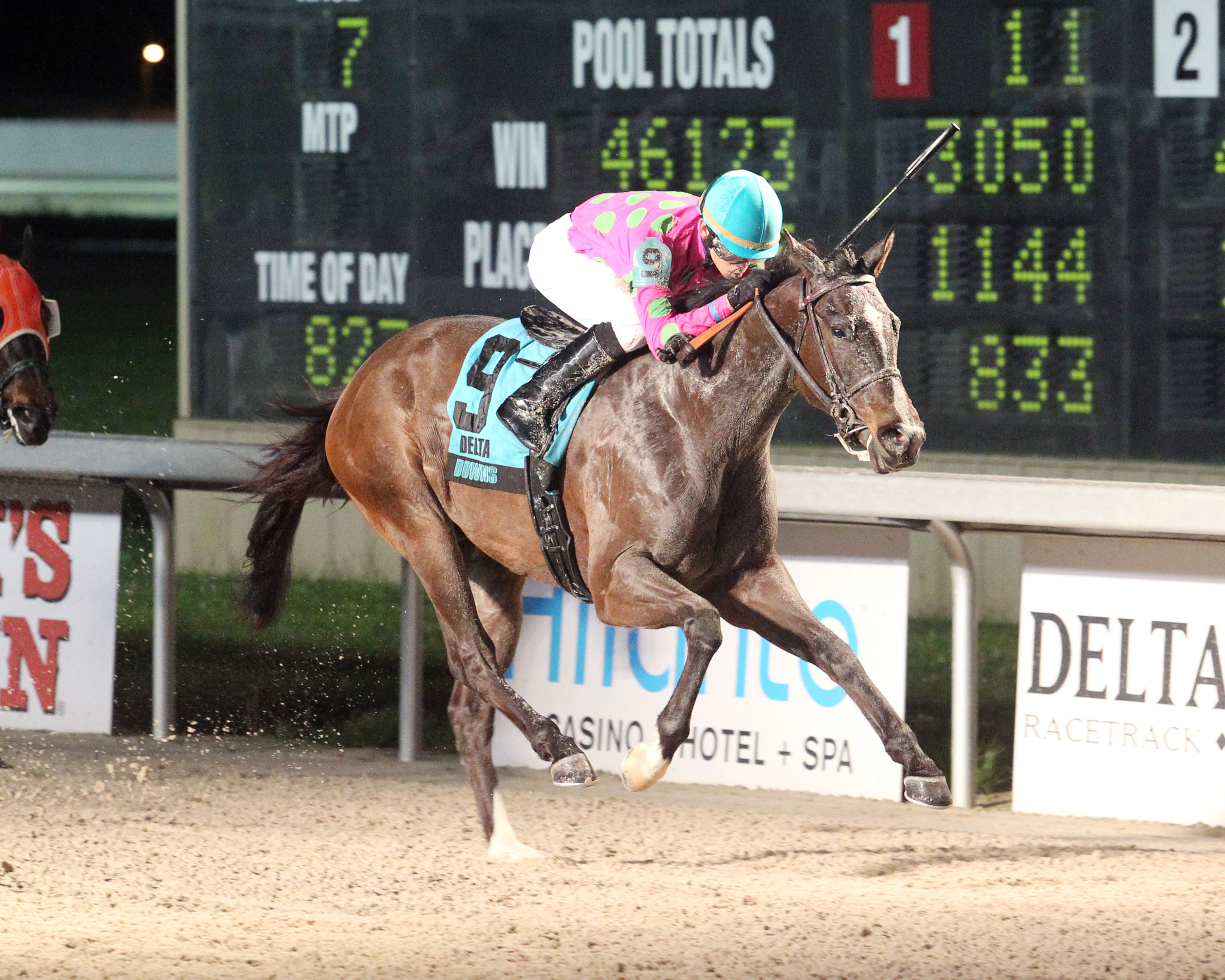 Bitsy's Afleet