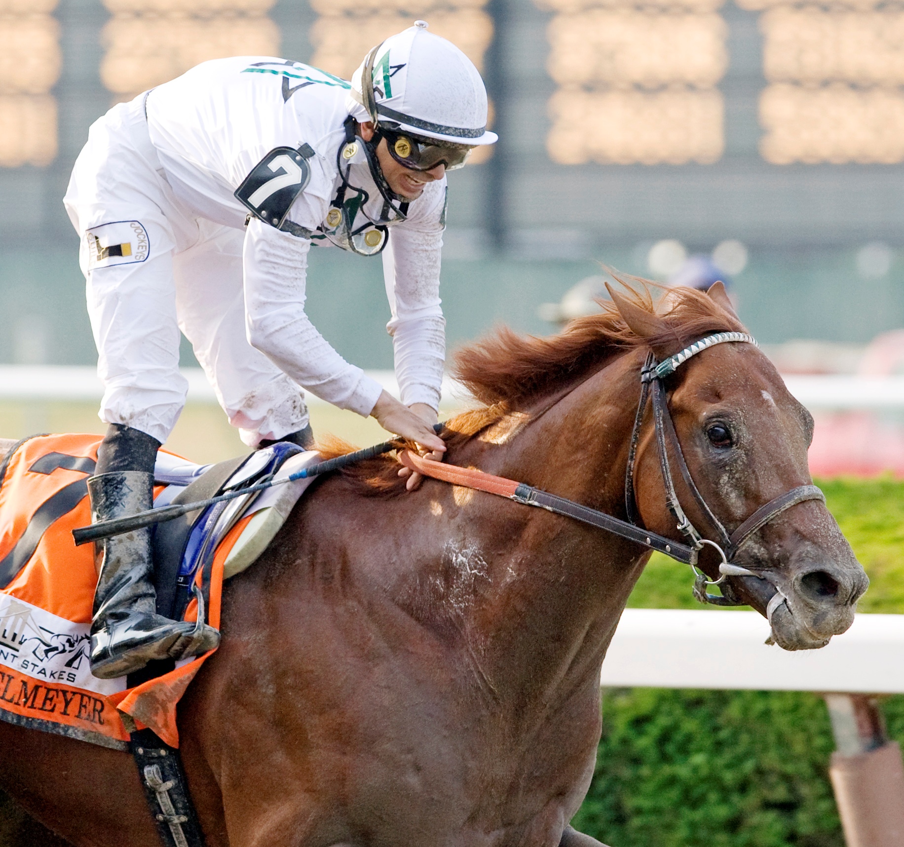Drosselmeyer, 2010 Belmont Stakes