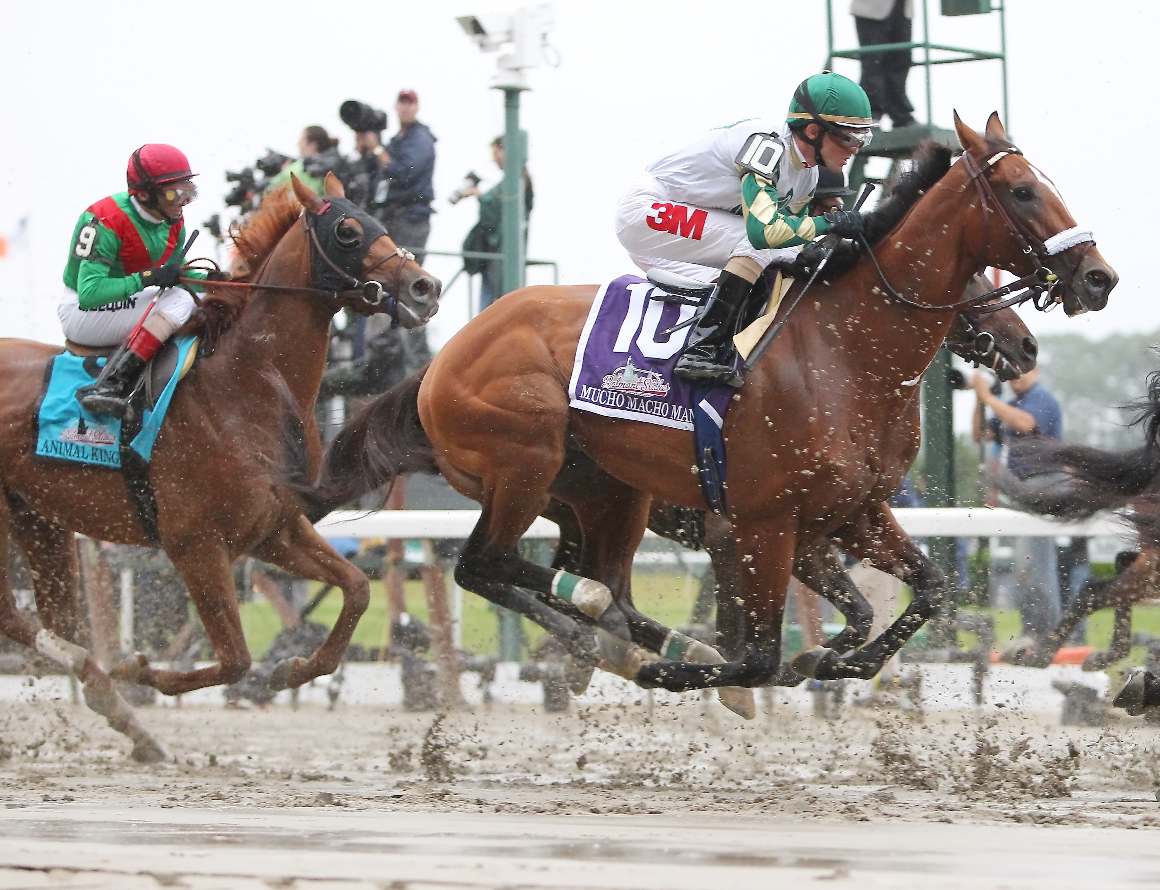 Animal Kingdom squeezed back in Belmont